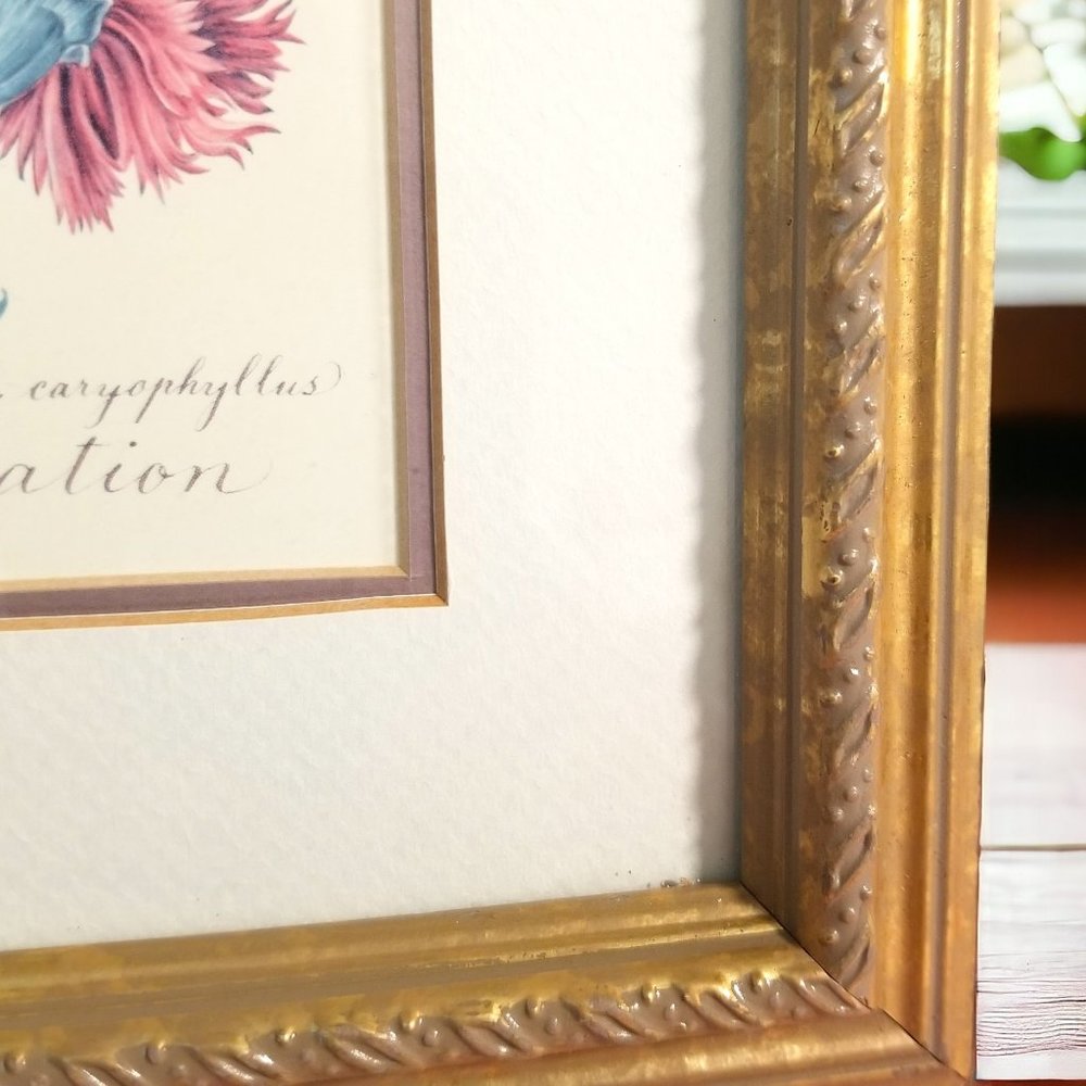 Vintage Gold Frame Carnation January's Flower: Timeless Botanical Elegance 1995 - Picture 8 of 12